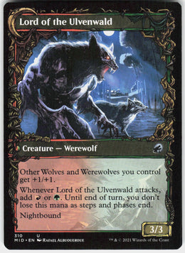 Kessig Naturalist // Lord of the Ulvenwald #310 NM