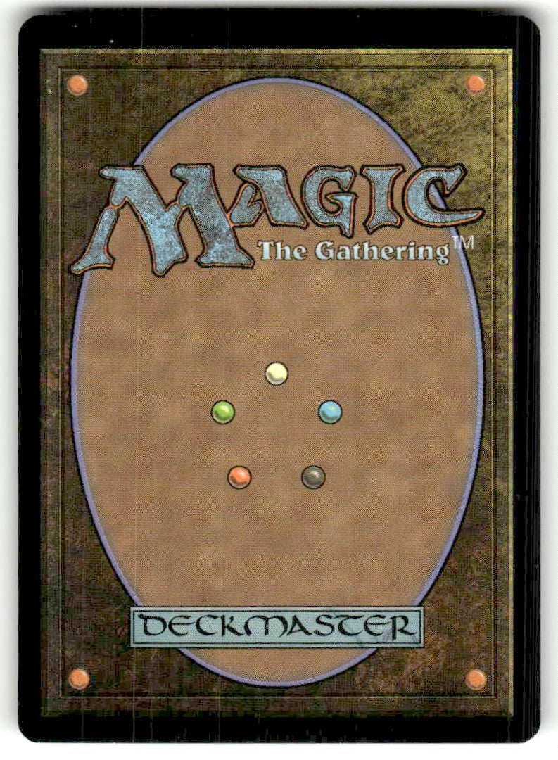 Netcaster Spider - Back