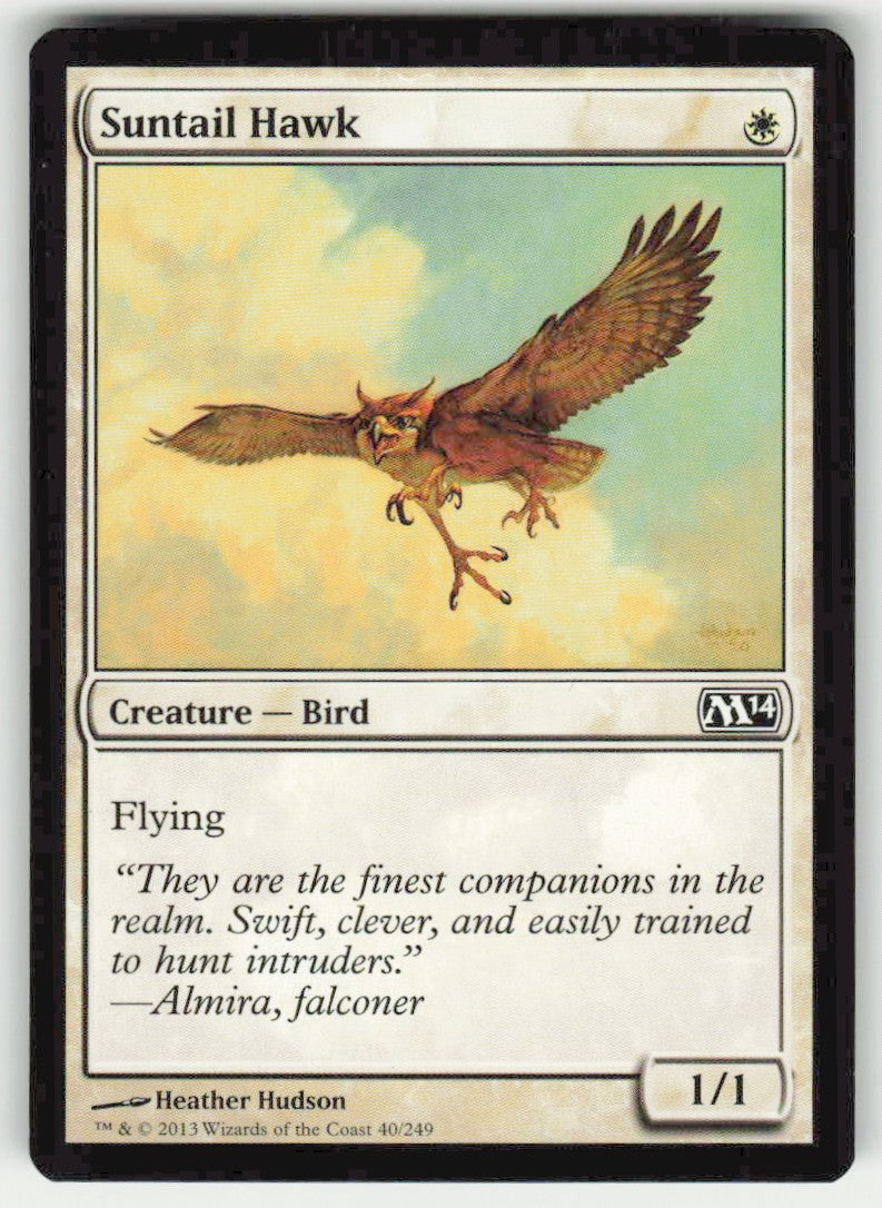 Suntail Hawk - Front