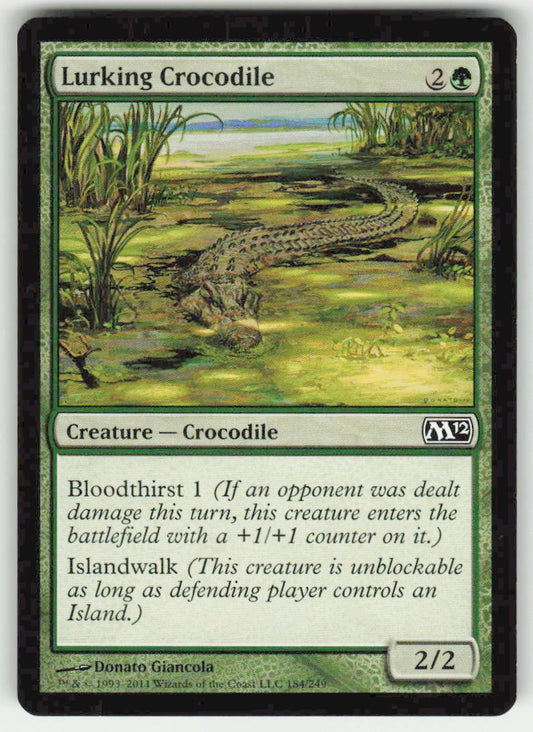 Lurking Crocodile - Front