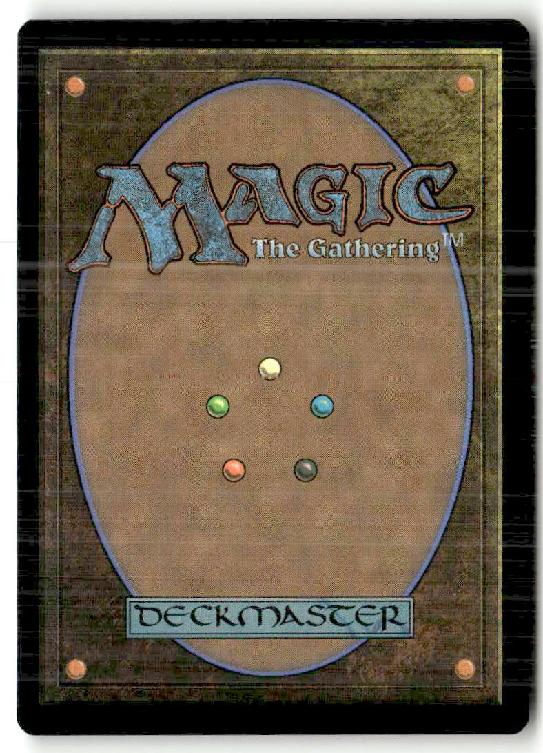 Erratic Visionary - Back