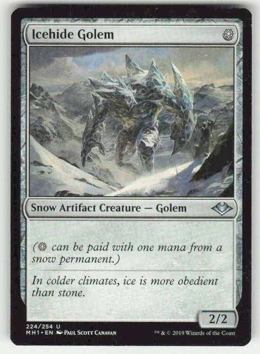 Icehide Golem - Front