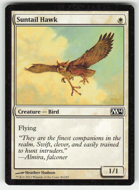 Suntail Hawk - Front