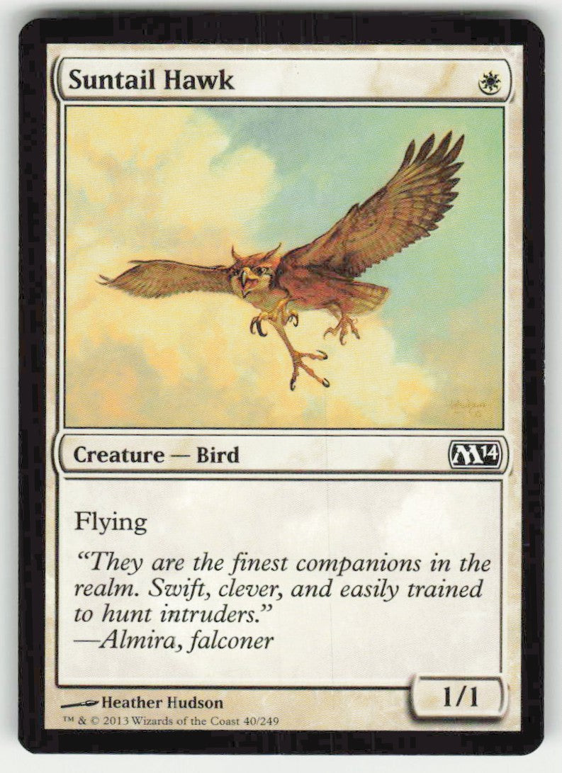 Suntail Hawk - Front