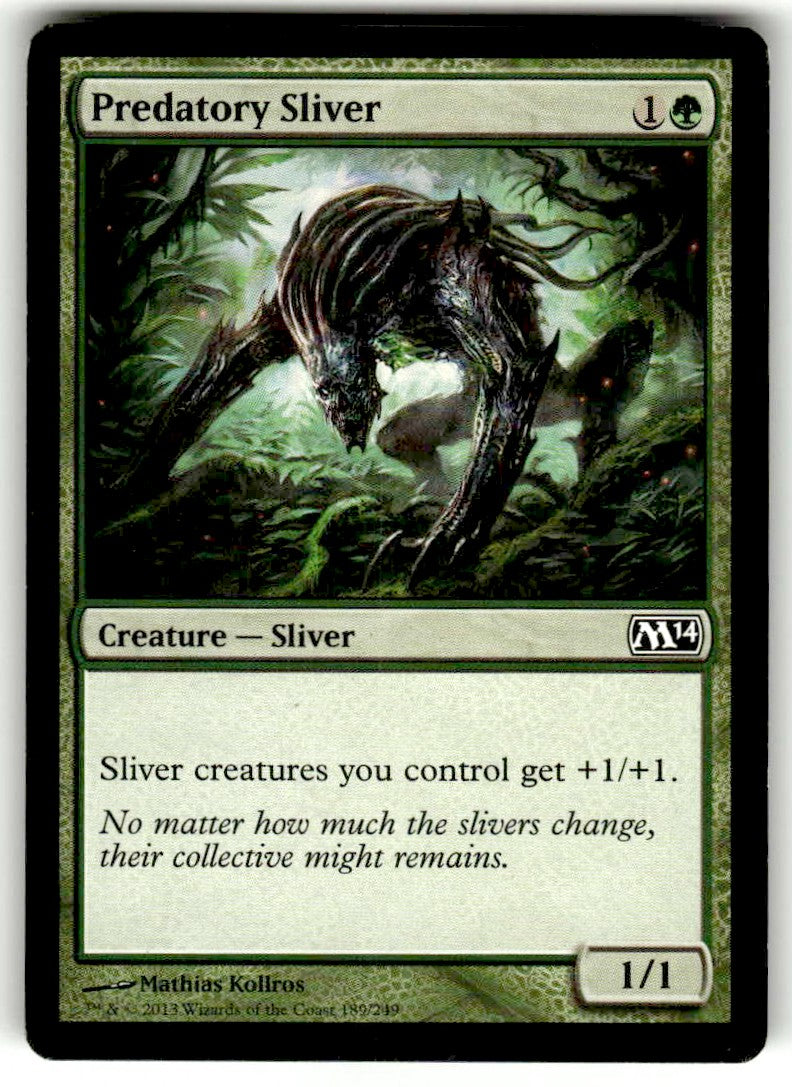 Predatory Sliver - Front