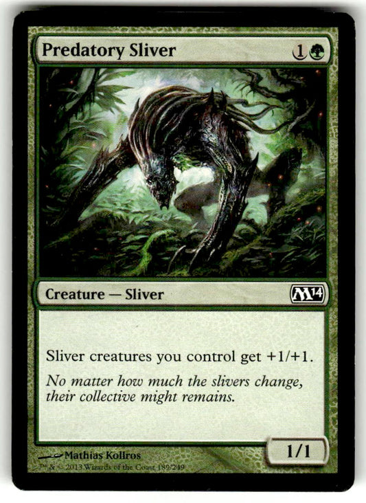 Predatory Sliver - Front