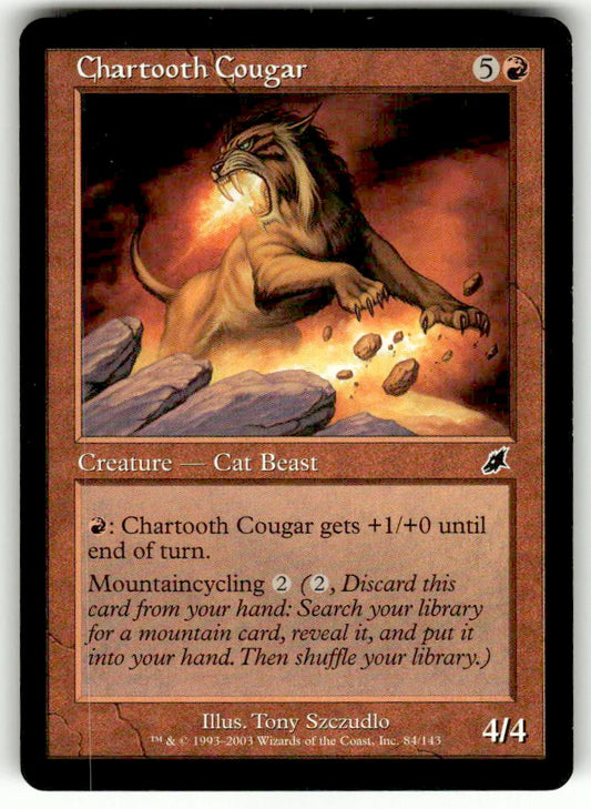 Chartooth Cougar - Front